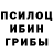Псилоцибиновые грибы Cubensis Dan Naab