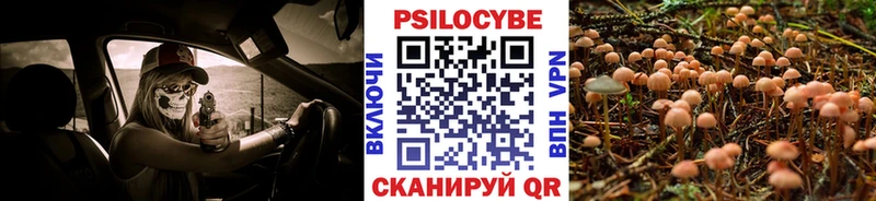 где купить наркоту  Венёв  Псилоцибиновые грибы мицелий 